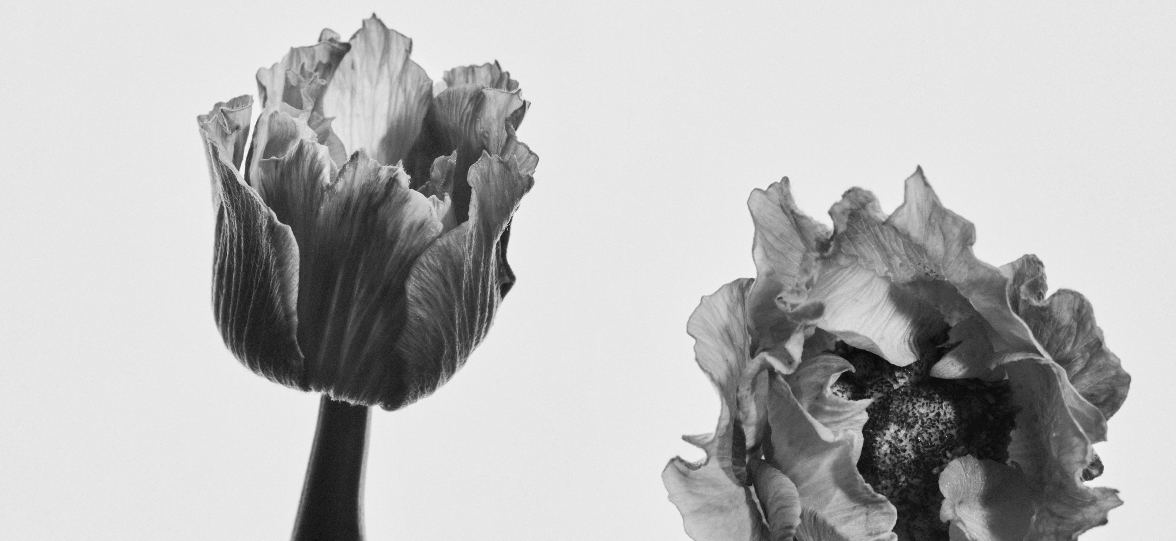 10_txema-yeste_PUIG_CORPORATIVEIMAGES_05_0213_A_crop.jpg