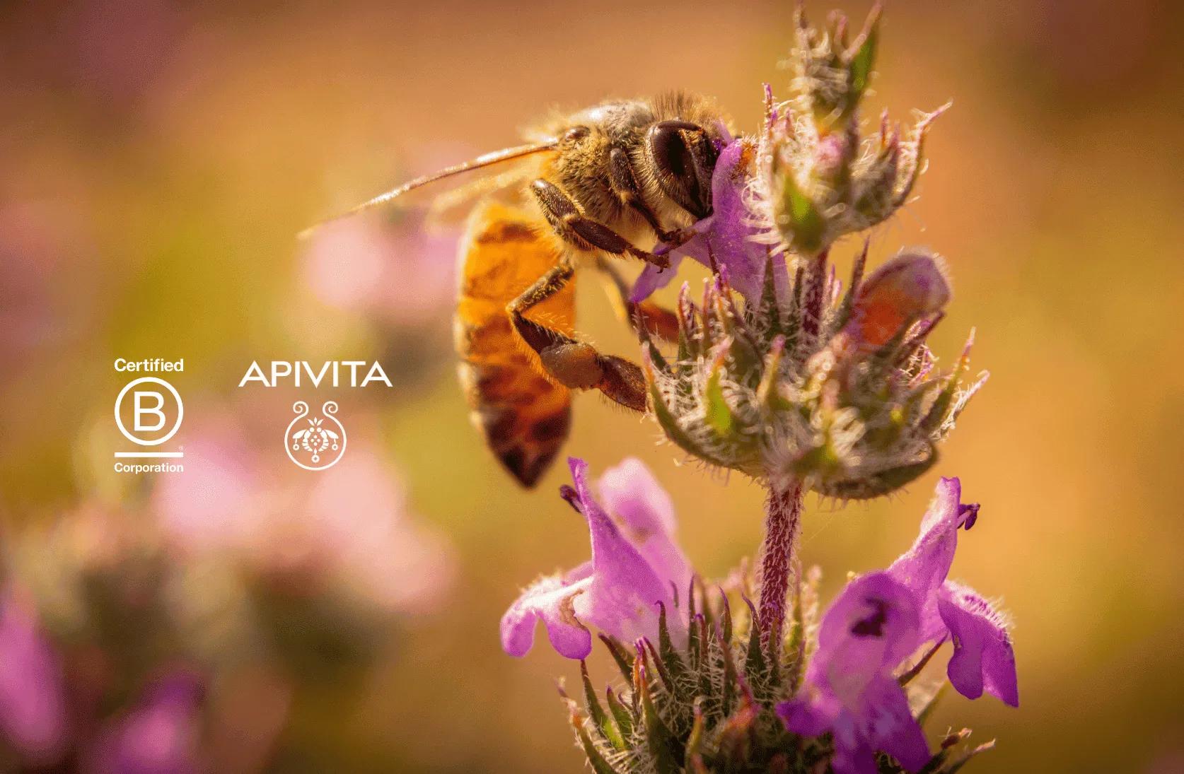 Close-up of a bee collecting nectar from a purple flower, with a soft, blurred natural background.