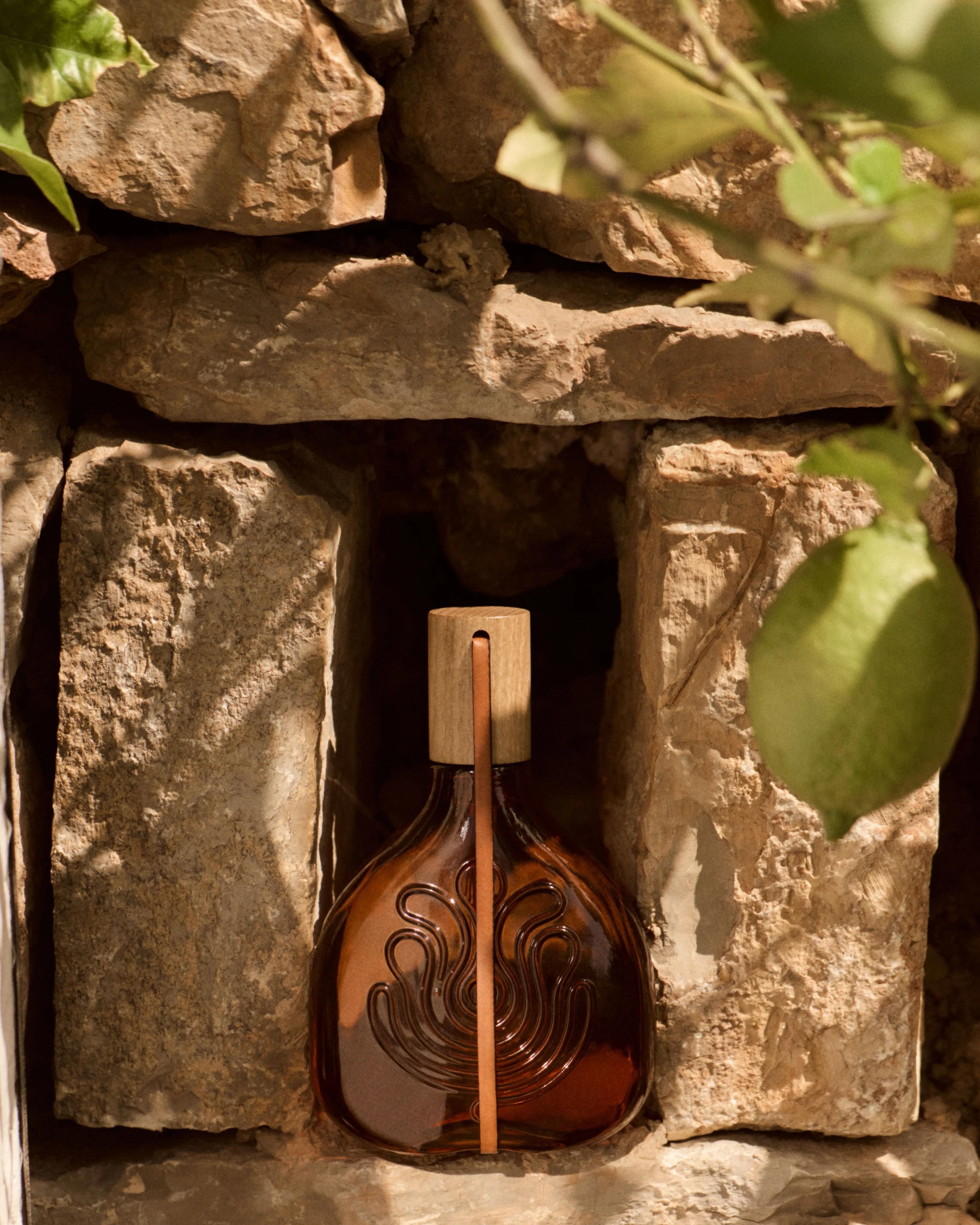 Agua Noble fragrance bottle by Puig displayed among stone blocks and greenery.